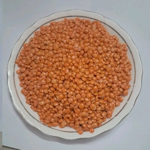 Masoor Dal Polished Export Supplier