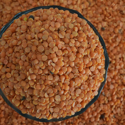 Masoor Dal Unpolished Bulk Supplier