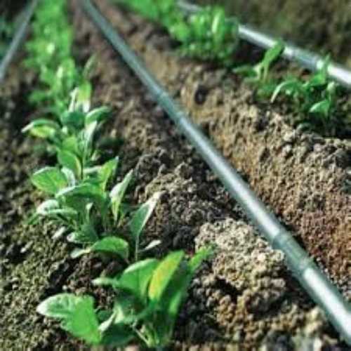 Micro Irrigation Kit for Vegetable and Horticulture Farms
