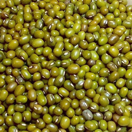Moong Purity 99 Percent Export Supplier