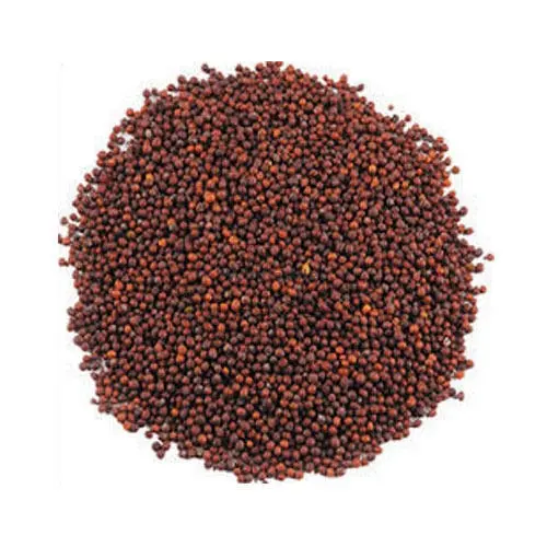 Mustard Seeds Exporter India Bulk