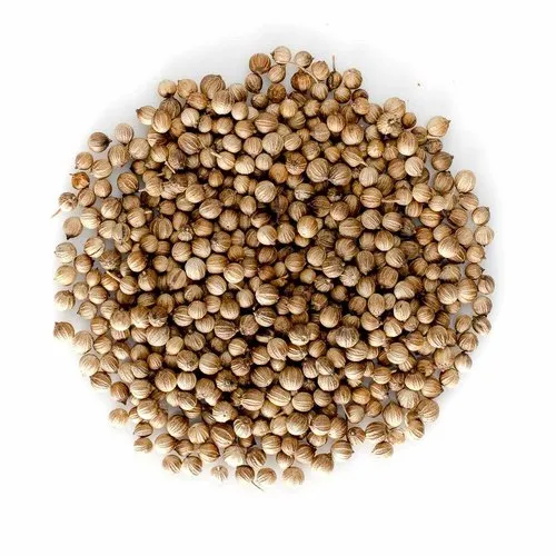 OP Coriander Seeds