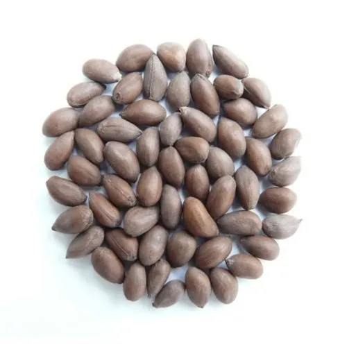 OP Cotton Seeds
