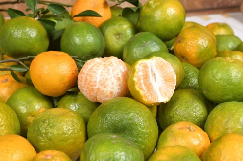 Orange Supplier 10kg Citrus Export Carton High Juice UAE