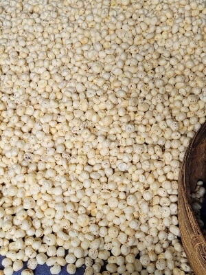 Organic Fox Nuts Makhana Bulk Export