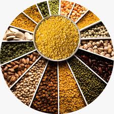 Organic Pulses Bulk Supplier