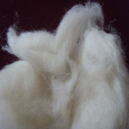Organic Wool Fiber Eco Friendly Textile Bulk Supplier Export