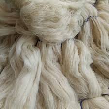 Pashmina Wool Luxury Fine Fiber Kashmir Origin Bulk Supplier