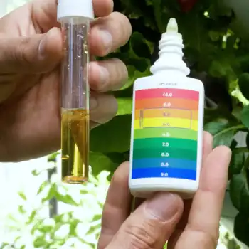 pH Testing Kits