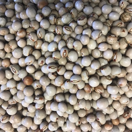 Pigeon Pea Meal Supplier Bulk