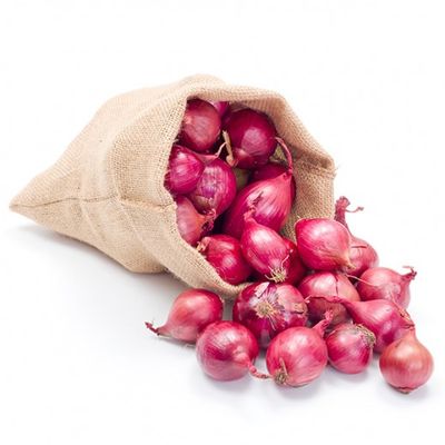 Pink Onion Supplier 55mm Plus Export Grade Bulk
