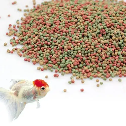 Premium Fish Feed