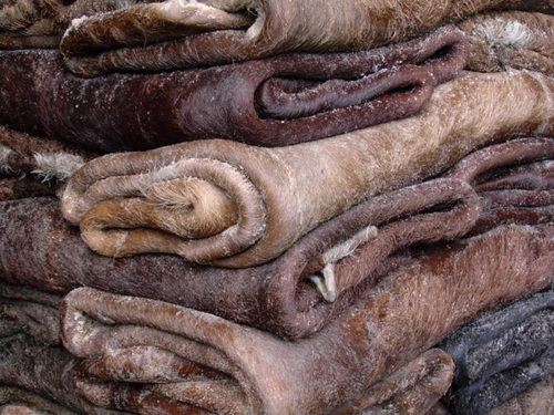 Premium Leather Raw Hides Bulk Supplier