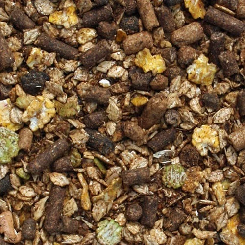 Premium Quality Sheep Feed