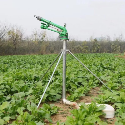 Rain Gun Sprinkler for Large Scale Farm Irrigation