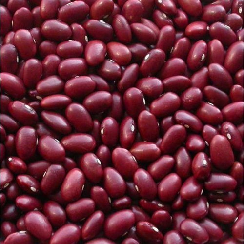 Rajma Size Graded Premium Export Supplier