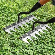 Rakes