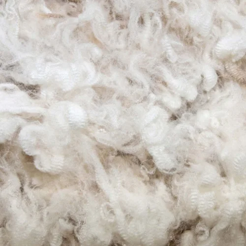 Raw Wool Fiber Greasy Wool Bulk Supply Textile Industry