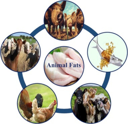 Refined Mixed Animal Fats for Culinary Use