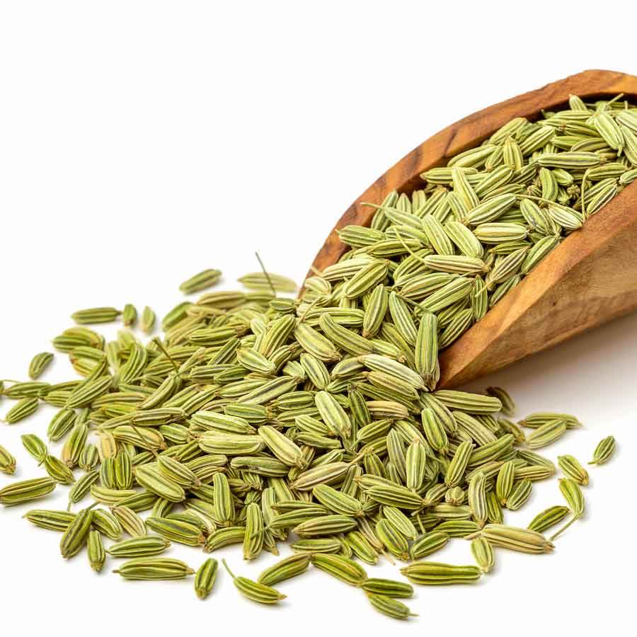 Saunf Fennel Seeds Wholesale Export