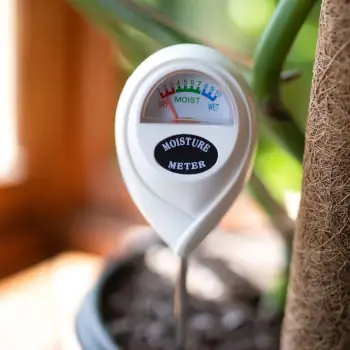 Moisture Meters
