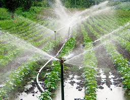 Sprinkler Irrigation System for Field Crops and Plantations