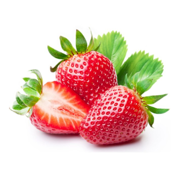 Strawberry Exporter Premium Grade Fresh Berries Europe