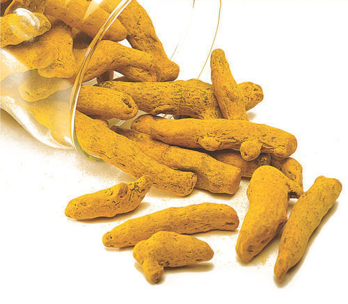 Turmeric Finger Exporter Premium Quality