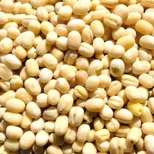 Urad Dal Polished Export Supplier