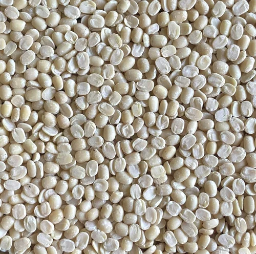 Urad Dal Split Supplier