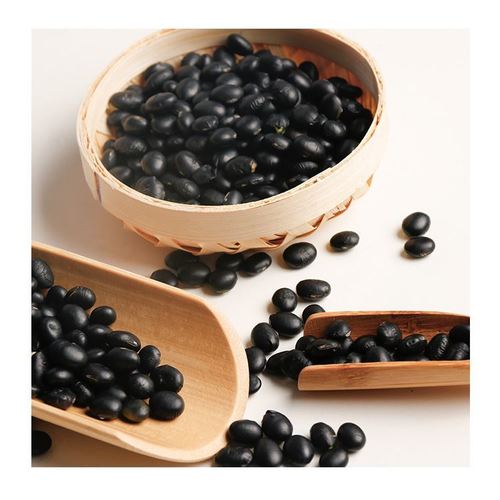 Vanilla Beans Export Quality Supplier