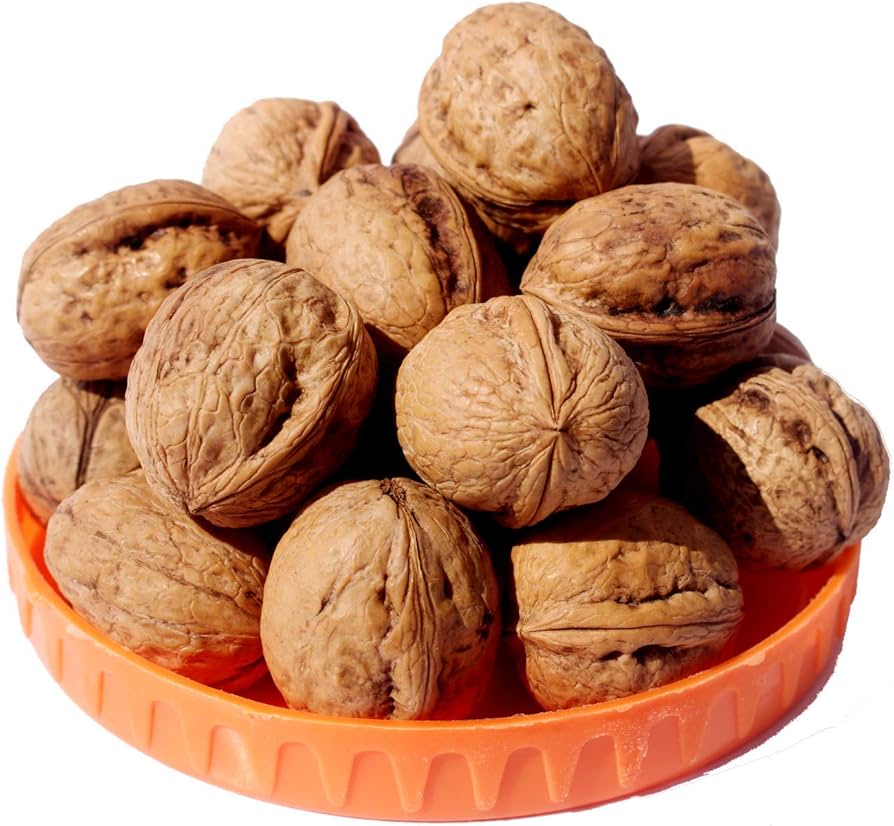 Walnuts Whole In Shell Bulk Export