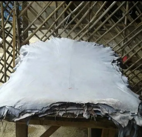 Wet Blue Sheep Skins Export Grade