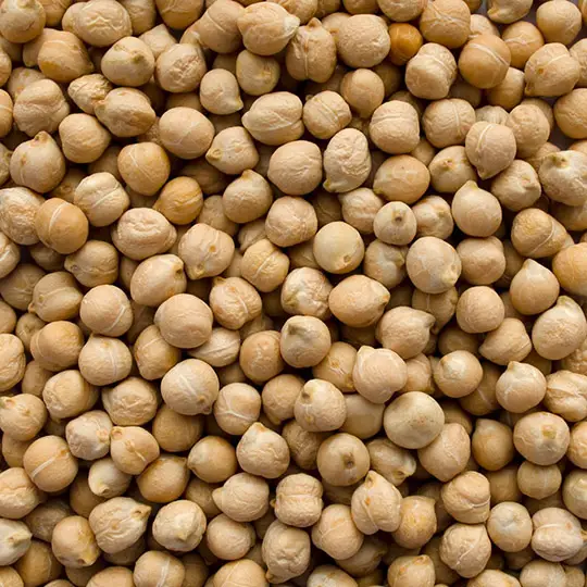 Yellow Peas Bulk Supplier Europe Market